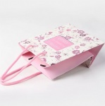 Cosemtic Bag